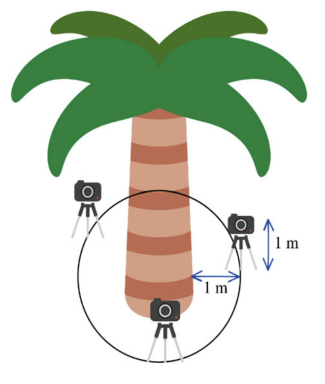 Early Detection of Plant Disease in Oil Palms: Smart Strategies with Hyperspectral Data and Machine Learning